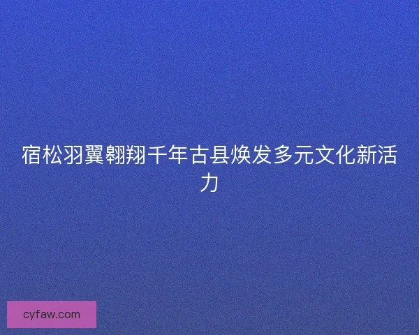 宿松羽翼翱翔千年古县焕发多元文化新活力